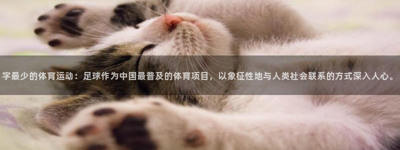 蓝狮在线体育热门赛事有哪些