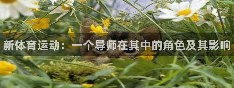 www.意昂体育.com