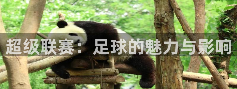 意昂平台注册