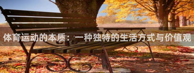 蓝狮在线体育平台总代理