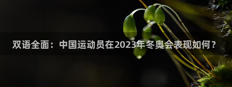 蓝狮在线体育4
