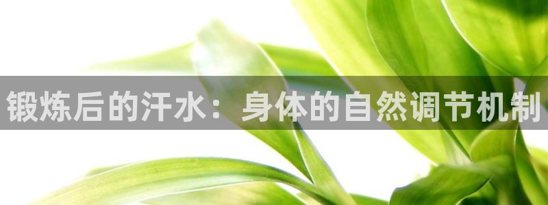 蓝狮在线3平台登录注册