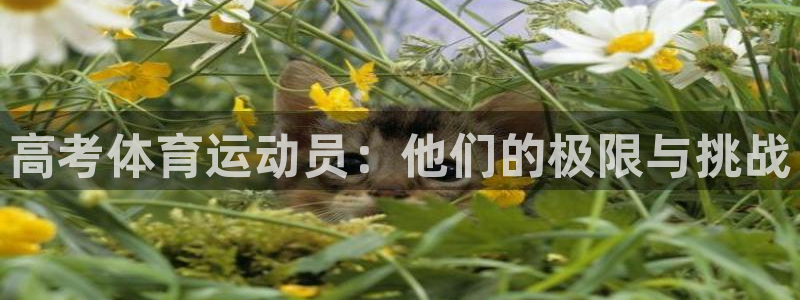 意昂3平台