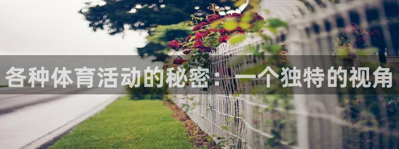 蓝狮在线体育官网注册